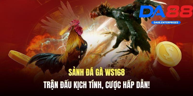 Điểm nổi bật của Ws168